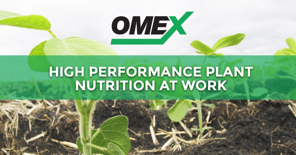 Product Spotlight: Starters - OMEX