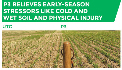 P3 relieves early-season stressors like cold and wet soil and physical injury