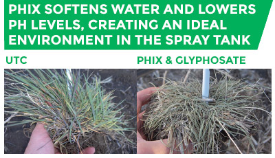 Comparison of UTC and plants treated with pHix and Glyphosate. pHix softens water and lowers pH levels, creating an ideal environment in the spray tank 